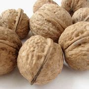 80 Best Trees- Walnut images | Black walnut tree, Fruit trees, Wild edibles