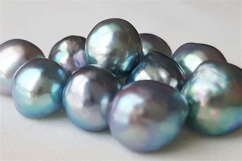 Zylana akoya pearls with a natural silver blue tone Fine Pearls, Loose Pearls, Pearls Aesthetic ...