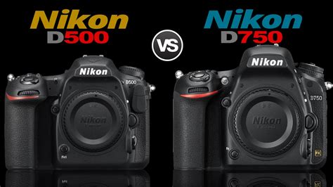 Nikon D500 vs Nikon D750 Full Camera Comparison - YouTube