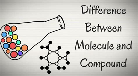 Molecule vs Compound: What is the Exact Difference