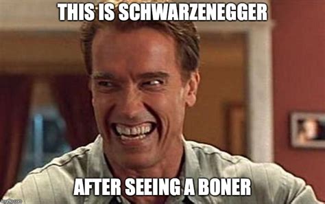 Arnold Schwarzenegger Meme Do It Now