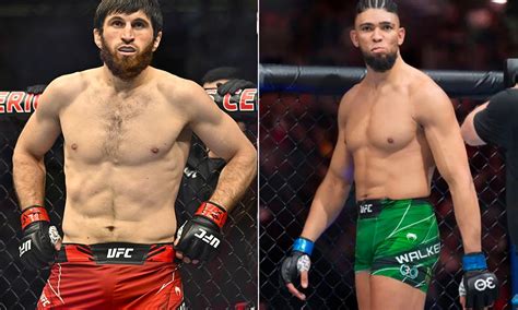 Magomed Ankalaev vs. Johnny Walker set for UFC 294 in Abu Dhabi