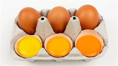 The Myth Behind Bright Orange Egg Yolks