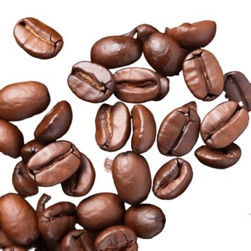 Detail Coffee Bean For Background, Arabic, Aroma, Bean PNG Transparent ...