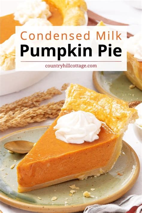 Carnation Condensed Milk Pumpkin Pie Recipe | Besto Blog