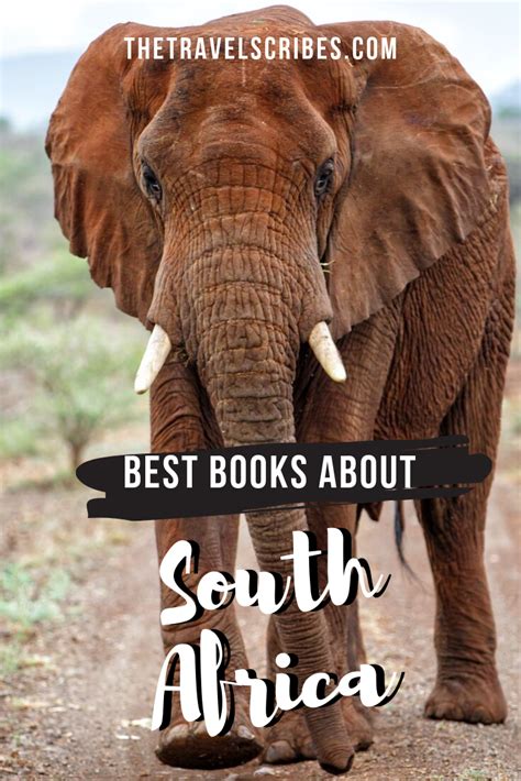 Best South African books to fuel your wanderlust | The Travel Scribes in 2021 | Books, Book ...