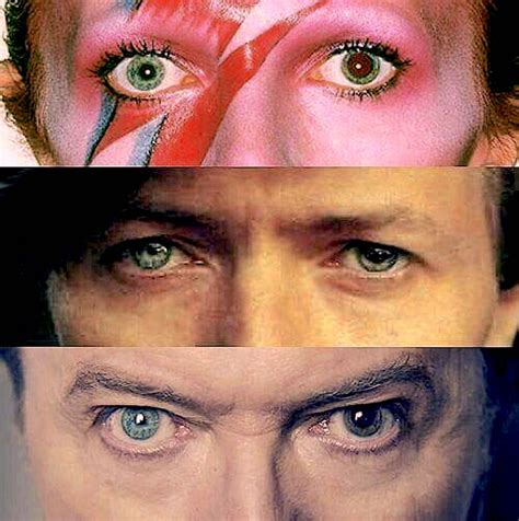 David Bowie Eyes Close Up