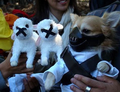 19 Dogs Dressed As Movie Stars For Halloween