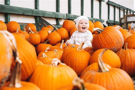 The Best Fall Festivals in the Bay Area Suburbs | Weekend Events