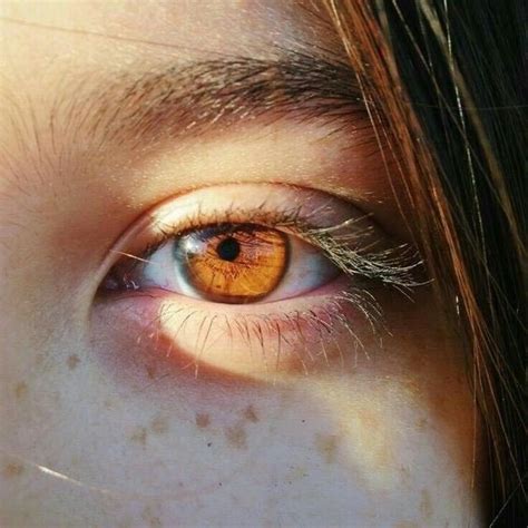 brown eyes in the sun are like pools of honey | Brown eyes aesthetic ...