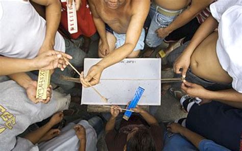 Spider Fighting and Gambling in the Philippines | HubPages