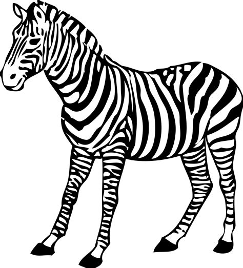 Zebra clipart black and white free images - WikiClipArt