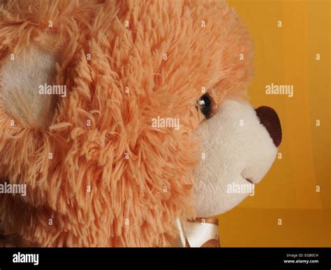 Light brown teddy bear hi-res stock photography and images - Alamy