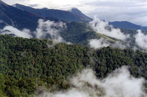Talakaveri Wildlife Sanctuary: Mist covered hills, cloud-kissed forests