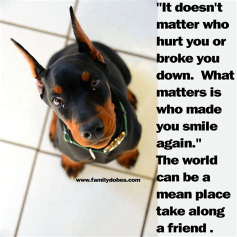 41 best Doberman Memes images on Pinterest | Doberman, Doberman pinscher and Dobermans