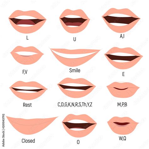 Female mouth animation. Phoneme mouth chart. Alphabet prononciation ...