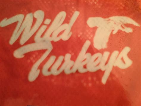Wild Turkey Rescuers