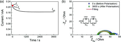 Solvent effects on Li ion transference number and dynamic ion ...