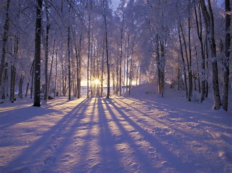 Ryan’s Winter Solstice SURVIVAL GUIDE | Paleocave Blog