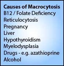 Causes of Macrocytosis – LearnHaem