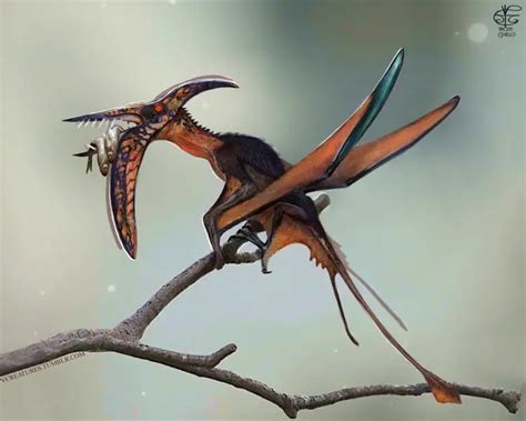 Rhamphorhynchus - Alchetron, The Free Social Encyclopedia