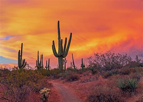 Colorful Orange Desert Sunset Landscape Along Hiking Trail Photograph by Ray Redstone - Fine Art ...