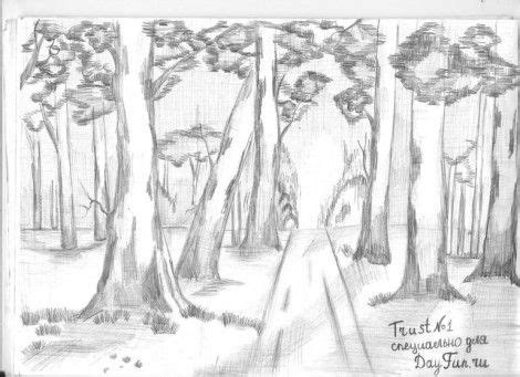 How to draw forest step by step | Tree drawings pencil, Forest drawing, Realistic drawings