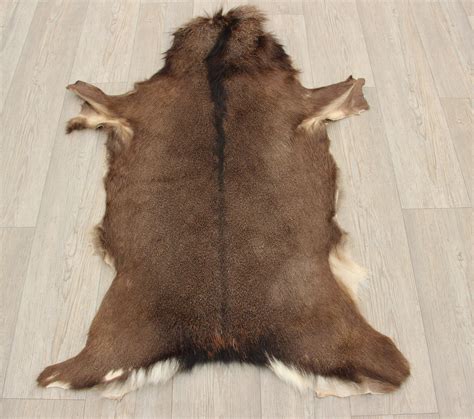 Deer Hide Rugs | Bryont Blog