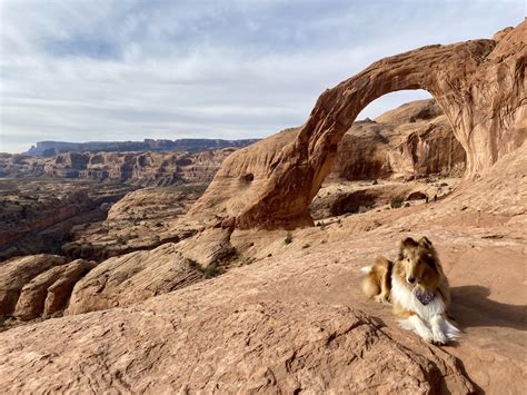 Hiking in Moab, Utah : r/pics