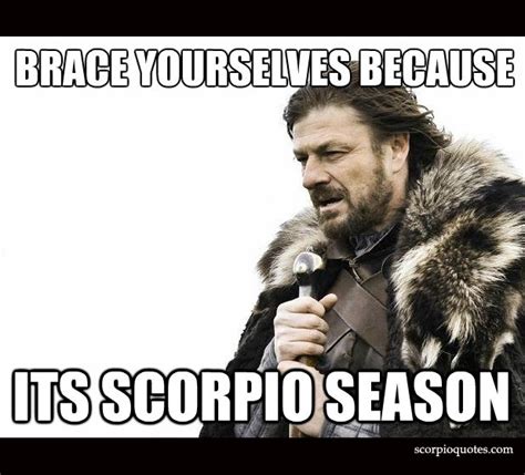 16 Scorpio Season Meme | Scorpio Quotes