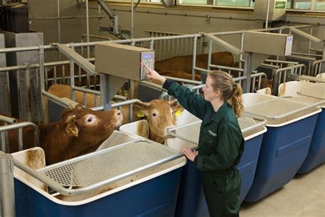 Ruminants Research - Trouw Nutrition