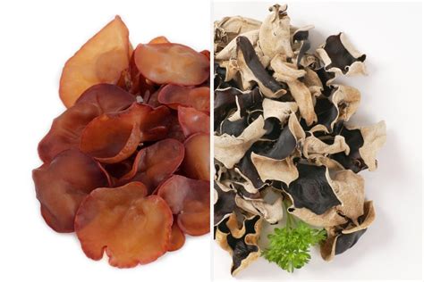 Wood Ear Mushrooms {ALL INFO} + 11 Recipes! - My Pure Plants