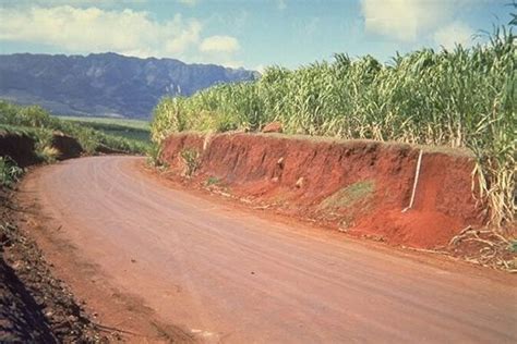 Laterite Soil in India, Laterite Rock Meaning, Is Found In