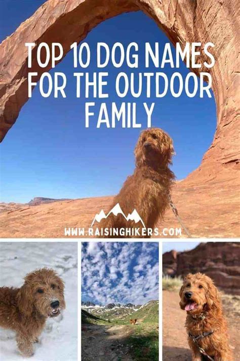 Top 10 Outdoorsy Dog Names | Raising Hikers