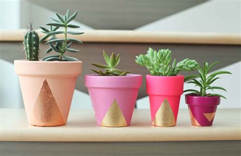 15 Easy DIY Succulent Planters