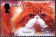Stamp: Persian Cat (Felis silvestris catus) (Turks and Caicos Islands) (Cats (1993)) Mi:TC 1798 ...