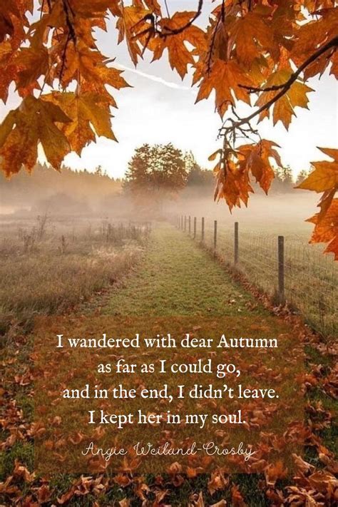 90+ Fall Quotes & Autumn Quotes to Enchant the Soul | Autumn quotes ...