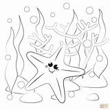 Starfish coloring Page  Free Printable Coloring Pages sketch template