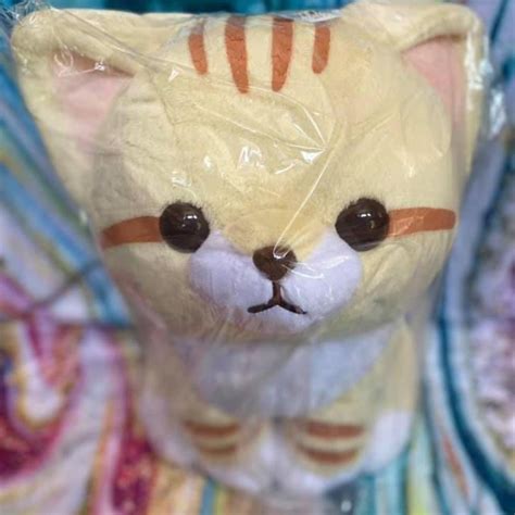 Sunny the Sand Cat Big Plush (Sunny) ‼️FREE... - Depop