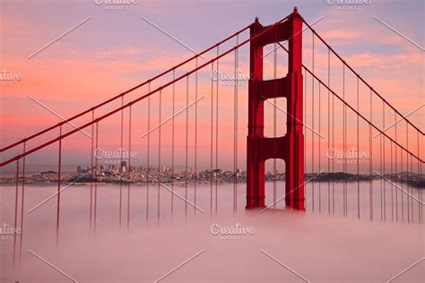 Foggy golden gate bridge containing golden, gate, and bridge | Golden gate bridge, Golden gate ...