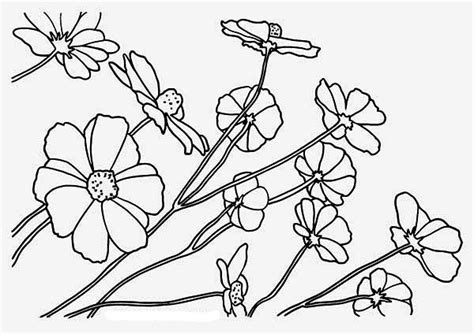 Search results for Flowers coloring pages on GetColorings.com | Free printable colorings pages ...