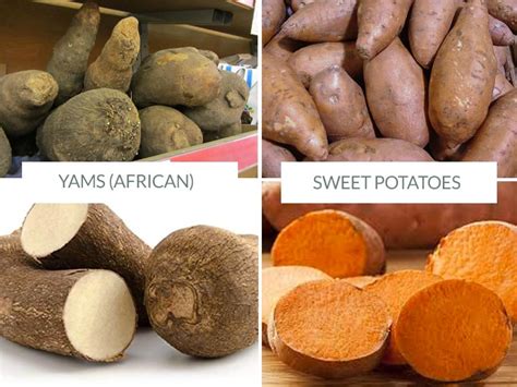 How to Cook Yams & What Are They Exactly?