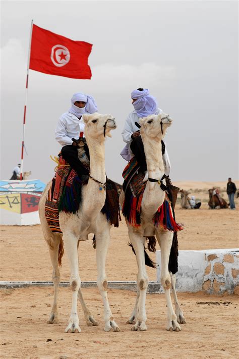 Free Images : jockey, bedouin, tunisia, western riding, equestrianism, pack animal, horse like ...