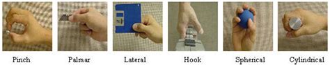 Towards Mechanomyographic Control of Multi-Articulated Upper-Limb Prosthesis: the existence of a ...