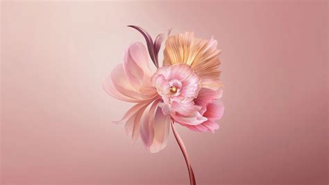 Abstract Flower Paintings Desktop Wallpaper | Best Flower Site