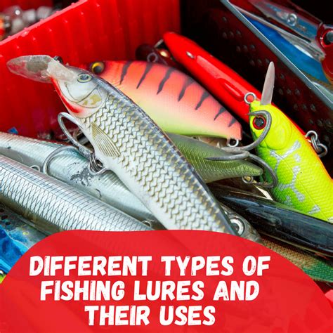 Different types of fishing lures and their uses – Tetra Hook