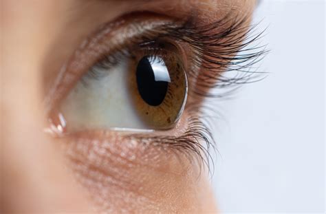 Cleaning Your Eyelids to Treat Dry Eyes | Red Deer