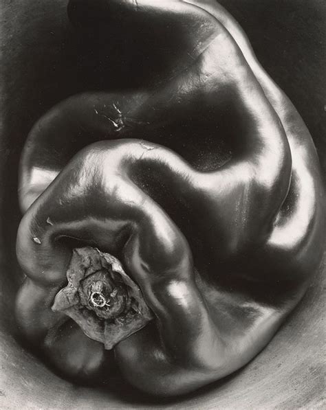 Edward Weston • Pepper, 1930 | Edward weston, History of photography, Straight photography