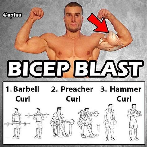 Upper Body Training & Superset Biceps Blast