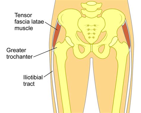 What's Causing Your Snapping Hip Syndrome? | Clinical Somatics